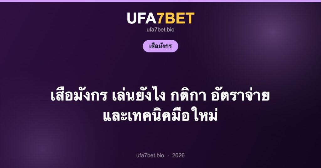 เสือมังกร เล่นยังไง กติกา อัตราจ่าย และเทคนิคมือใหม่